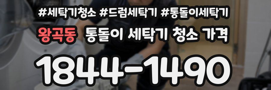 왕곡동 통돌이 세탁기 청소 가격