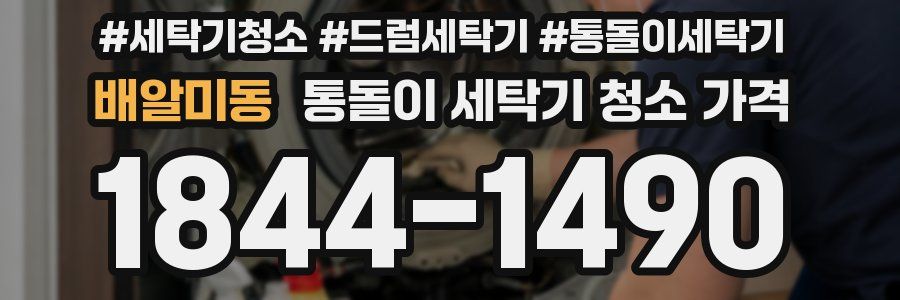 배알미동 통돌이 세탁기 청소 가격