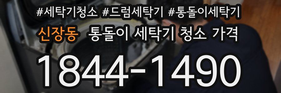 신장동 통돌이 세탁기 청소 가격