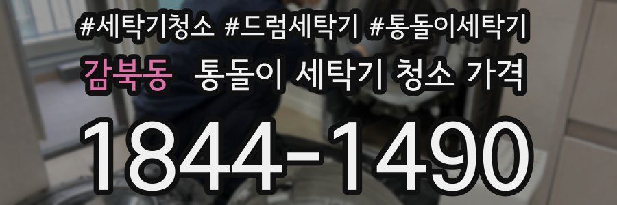 감북동 통돌이 세탁기 청소 가격