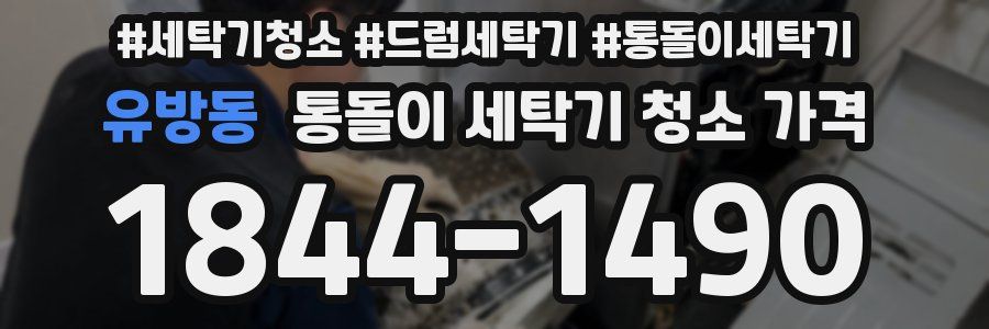 유방동 통돌이 세탁기 청소 가격