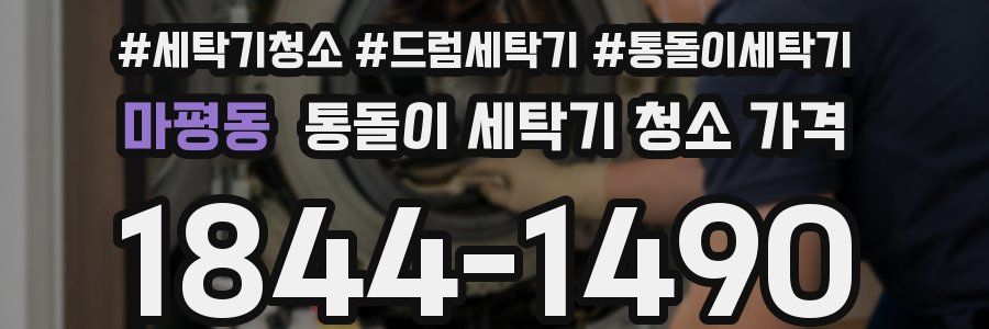 마평동 통돌이 세탁기 청소 가격