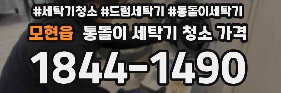 모현읍 통돌이 세탁기 청소 가격