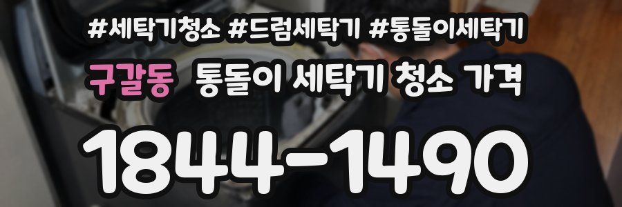 구갈동 통돌이 세탁기 청소 가격