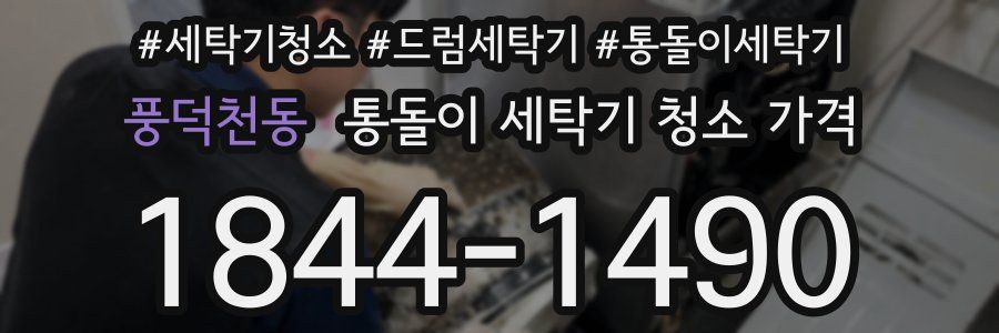 풍덕천동 통돌이 세탁기 청소 가격