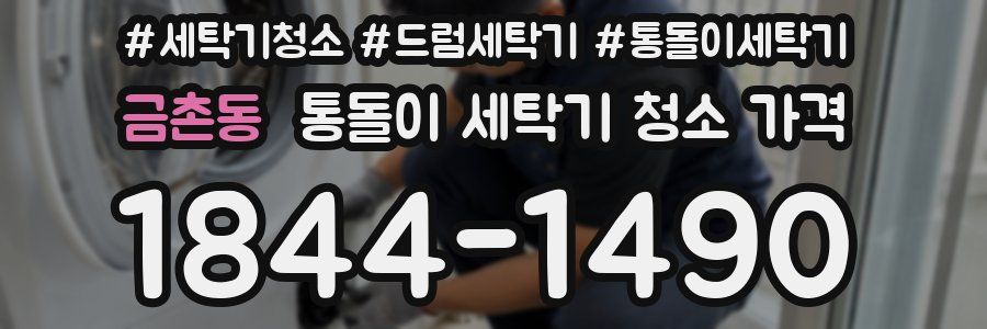 금촌동 통돌이 세탁기 청소 가격