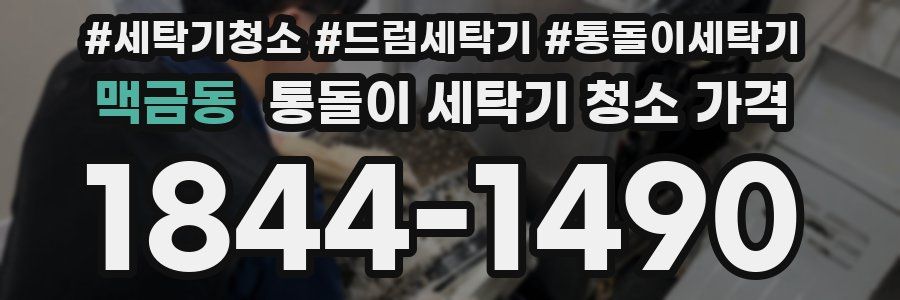 맥금동 통돌이 세탁기 청소 가격