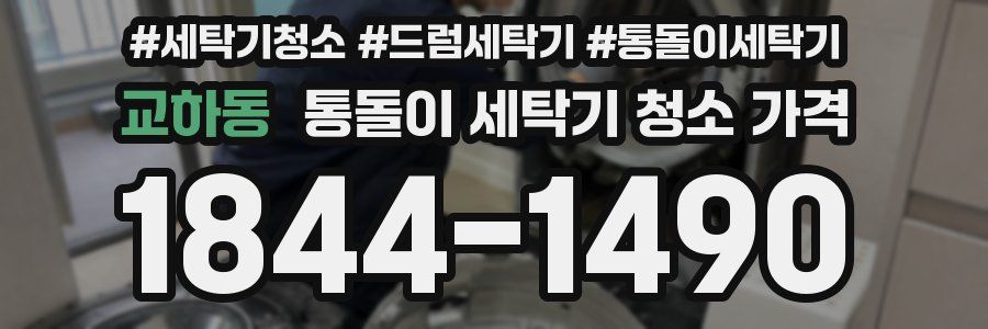 교하동 통돌이 세탁기 청소 가격