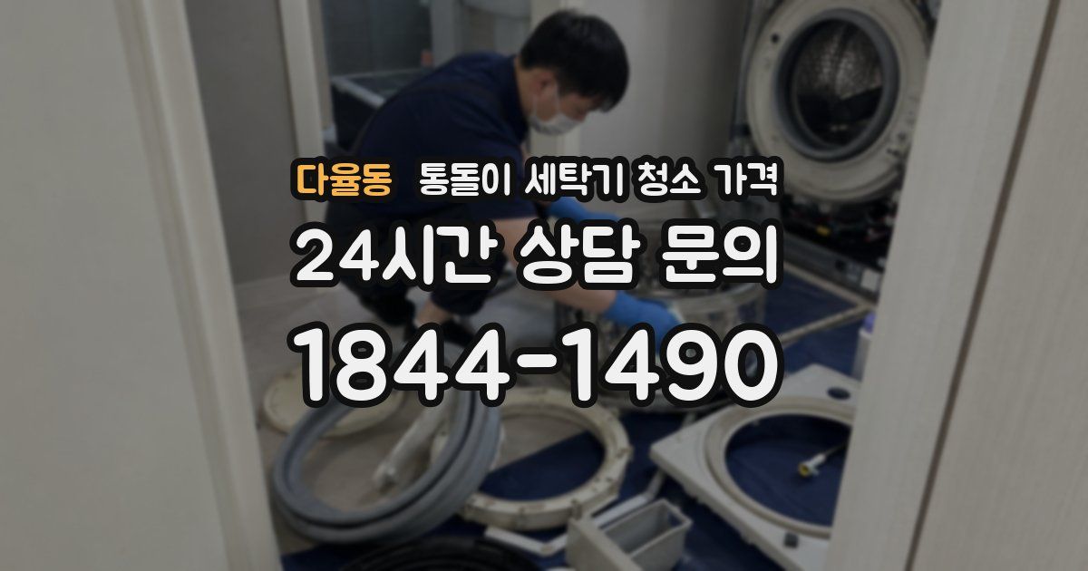 다율동 통돌이 세탁기 청소 가격