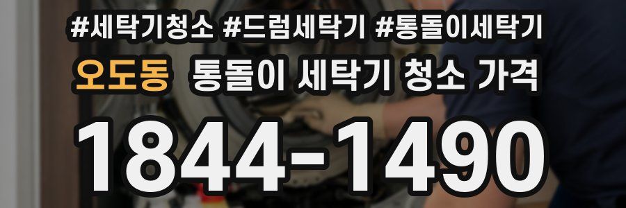오도동 통돌이 세탁기 청소 가격