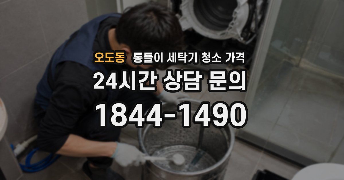 오도동 통돌이 세탁기 청소 가격