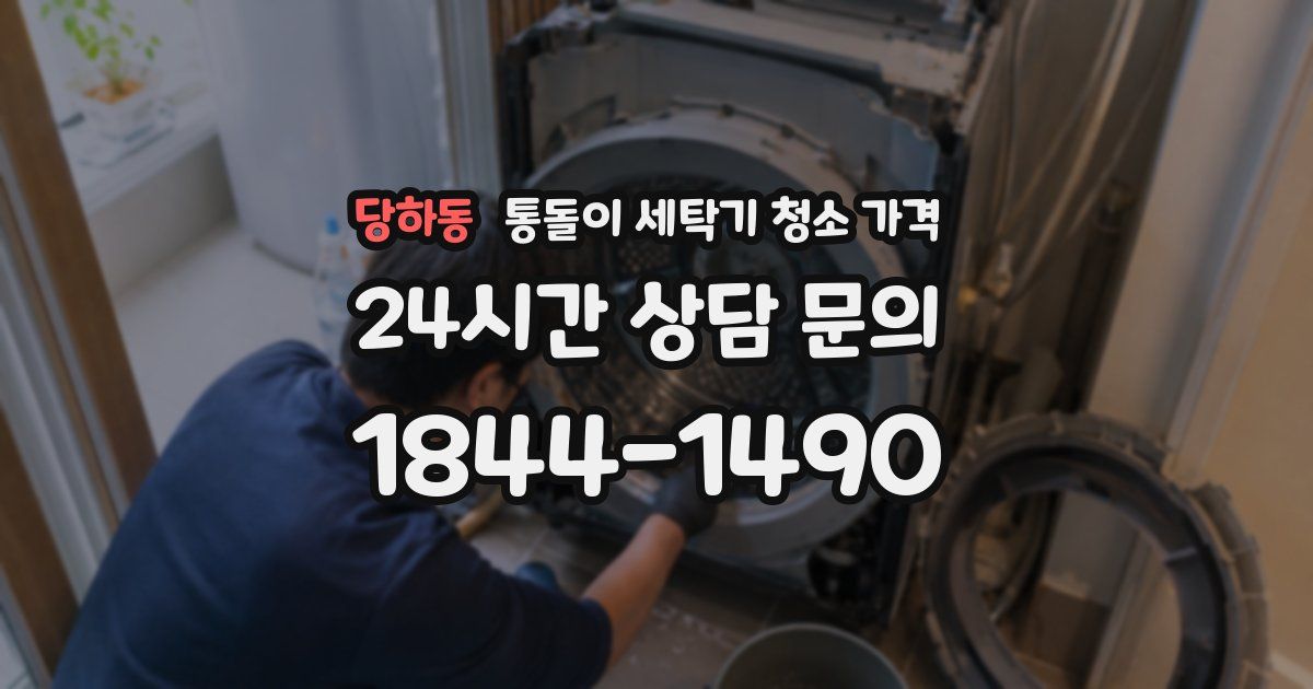 당하동 통돌이 세탁기 청소 가격