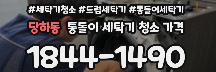 당하동 통돌이 세탁기 청소 가격