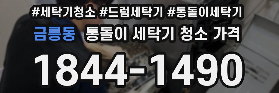 금릉동 통돌이 세탁기 청소 가격