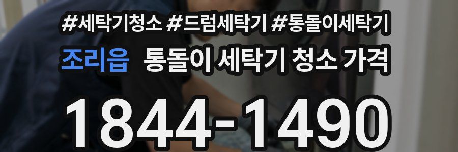 조리읍 통돌이 세탁기 청소 가격