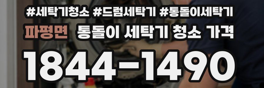 파평면 통돌이 세탁기 청소 가격