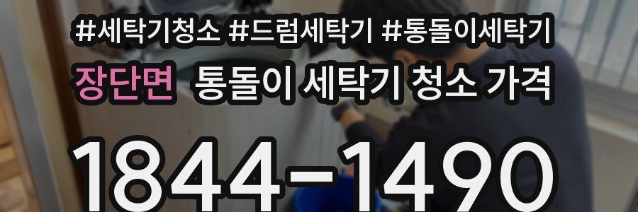 장단면 통돌이 세탁기 청소 가격