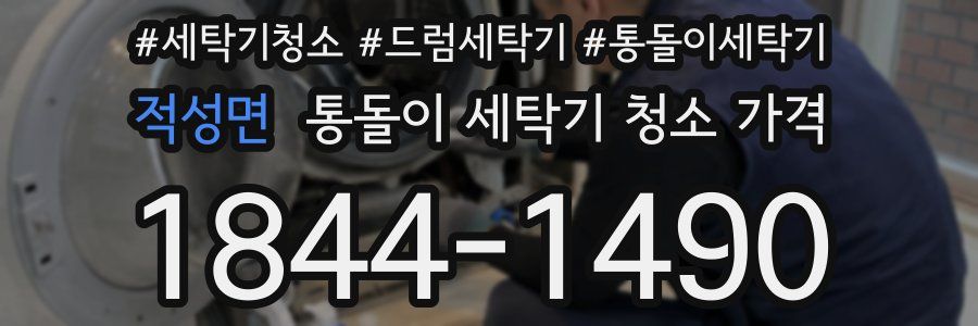 적성면 통돌이 세탁기 청소 가격