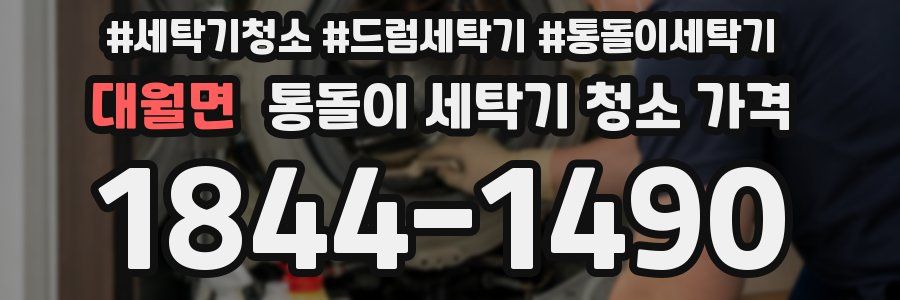 대월면 통돌이 세탁기 청소 가격
