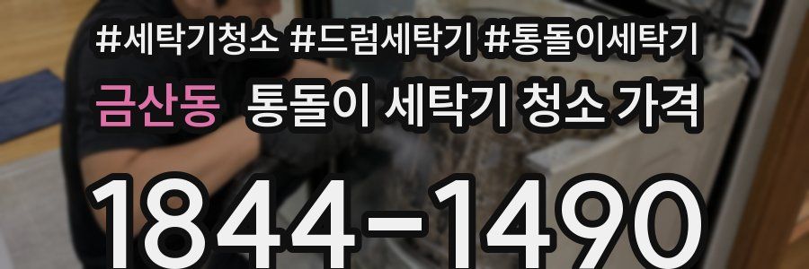금산동 통돌이 세탁기 청소 가격