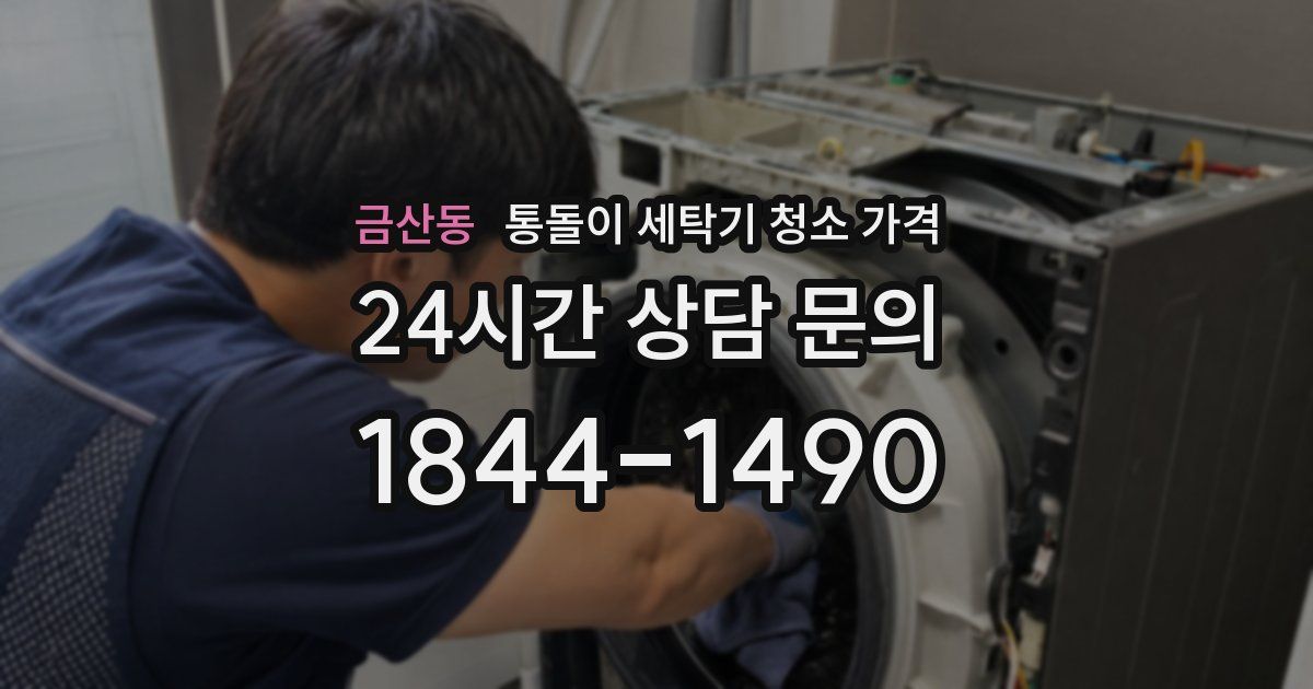 금산동 통돌이 세탁기 청소 가격