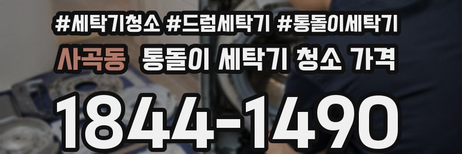 사곡동 통돌이 세탁기 청소 가격