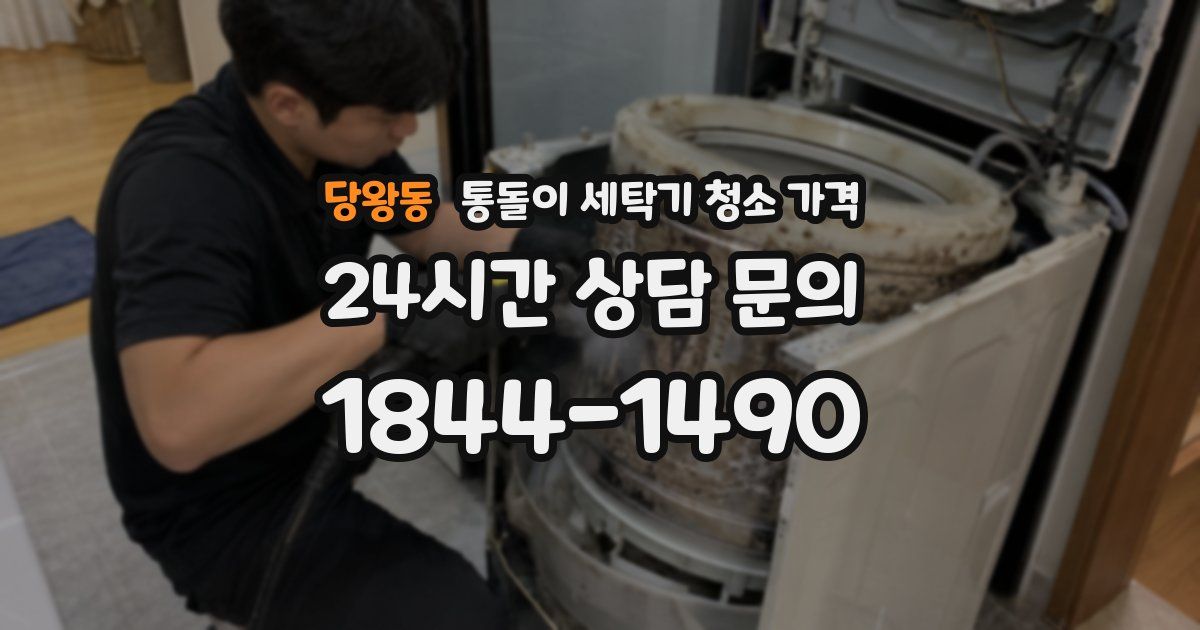 당왕동 통돌이 세탁기 청소 가격