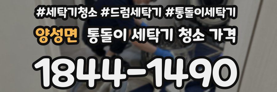 양성면 통돌이 세탁기 청소 가격