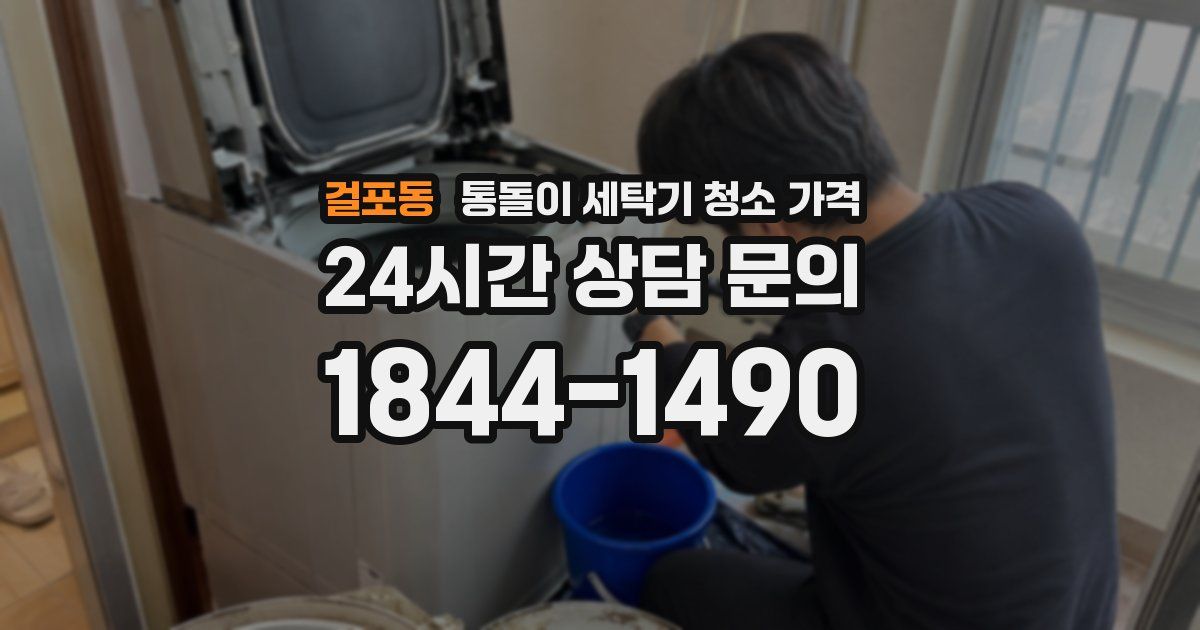 걸포동 통돌이 세탁기 청소 가격