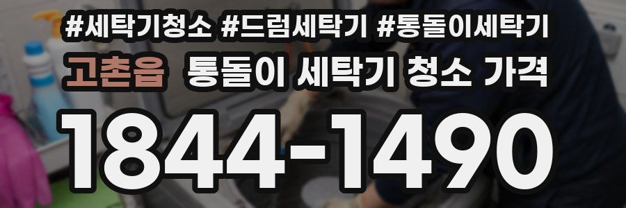 고촌읍 통돌이 세탁기 청소 가격