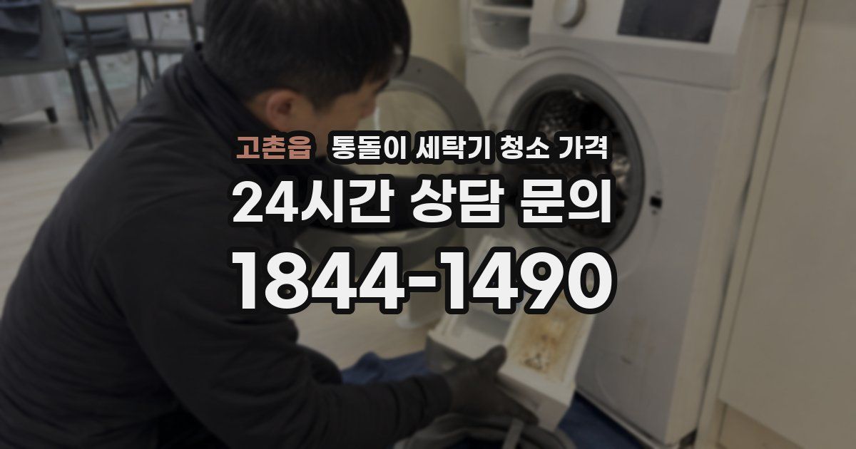 고촌읍 통돌이 세탁기 청소 가격