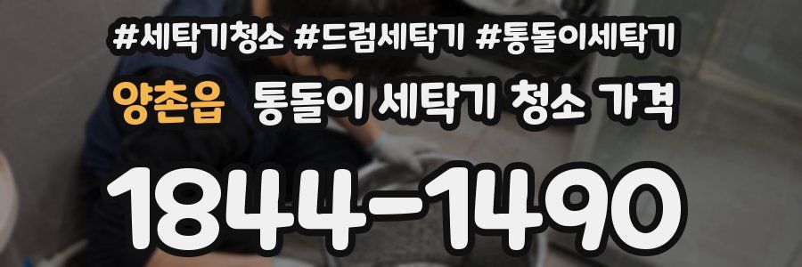 양촌읍 통돌이 세탁기 청소 가격