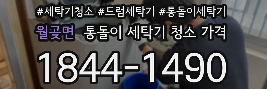 월곶면 통돌이 세탁기 청소 가격