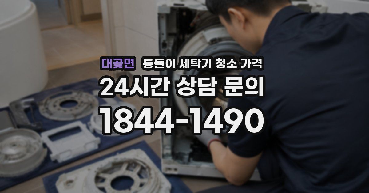 대곶면 통돌이 세탁기 청소 가격