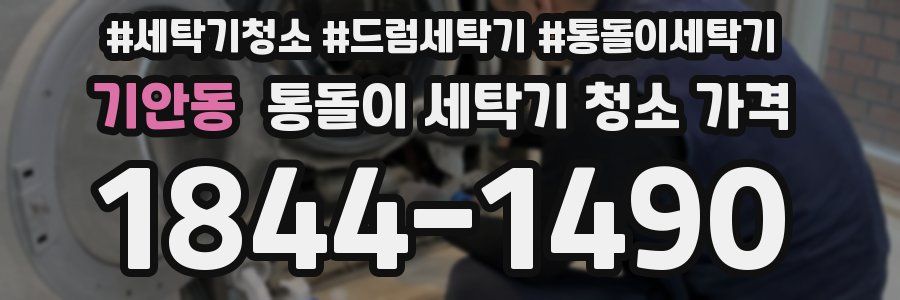 기안동 통돌이 세탁기 청소 가격