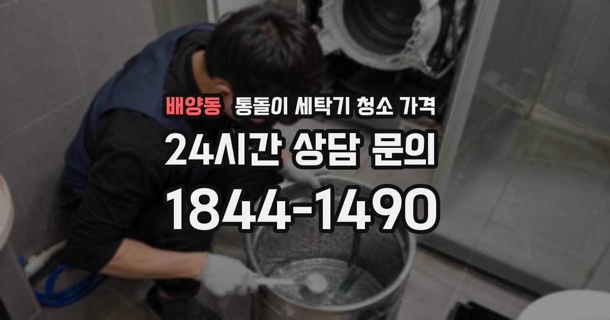 배양동 통돌이 세탁기 청소 가격