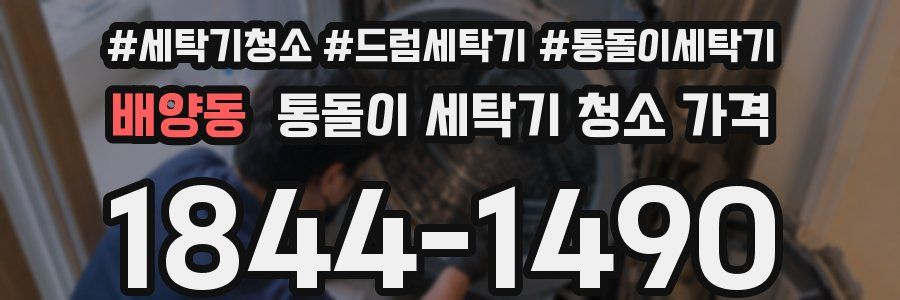 배양동 통돌이 세탁기 청소 가격