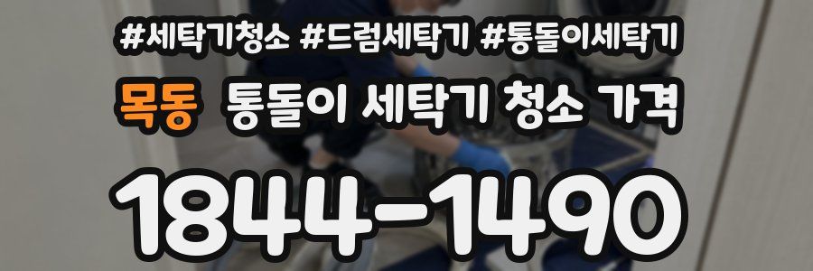 목동 통돌이 세탁기 청소 가격