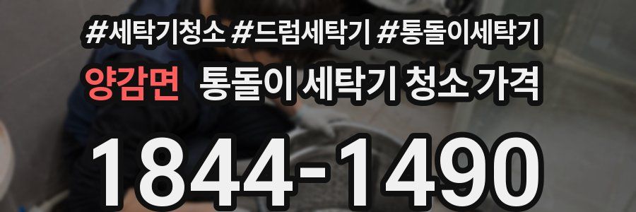 양감면 통돌이 세탁기 청소 가격