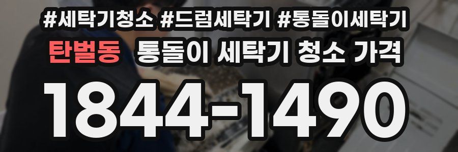 탄벌동 통돌이 세탁기 청소 가격