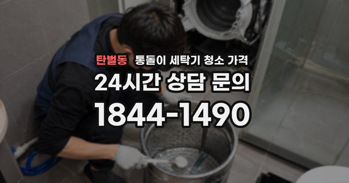 탄벌동 통돌이 세탁기 청소 가격