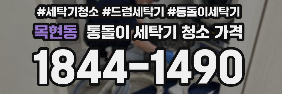 목현동 통돌이 세탁기 청소 가격