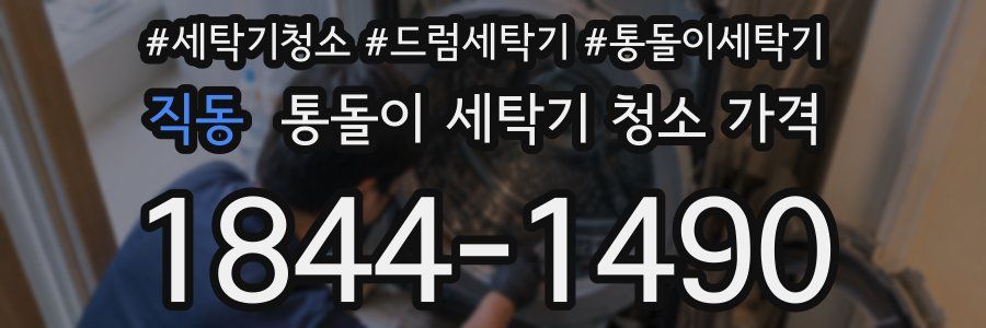 직동 통돌이 세탁기 청소 가격