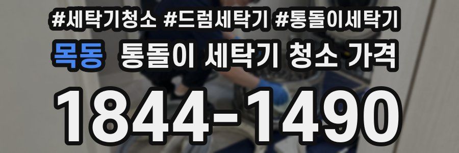 목동 통돌이 세탁기 청소 가격