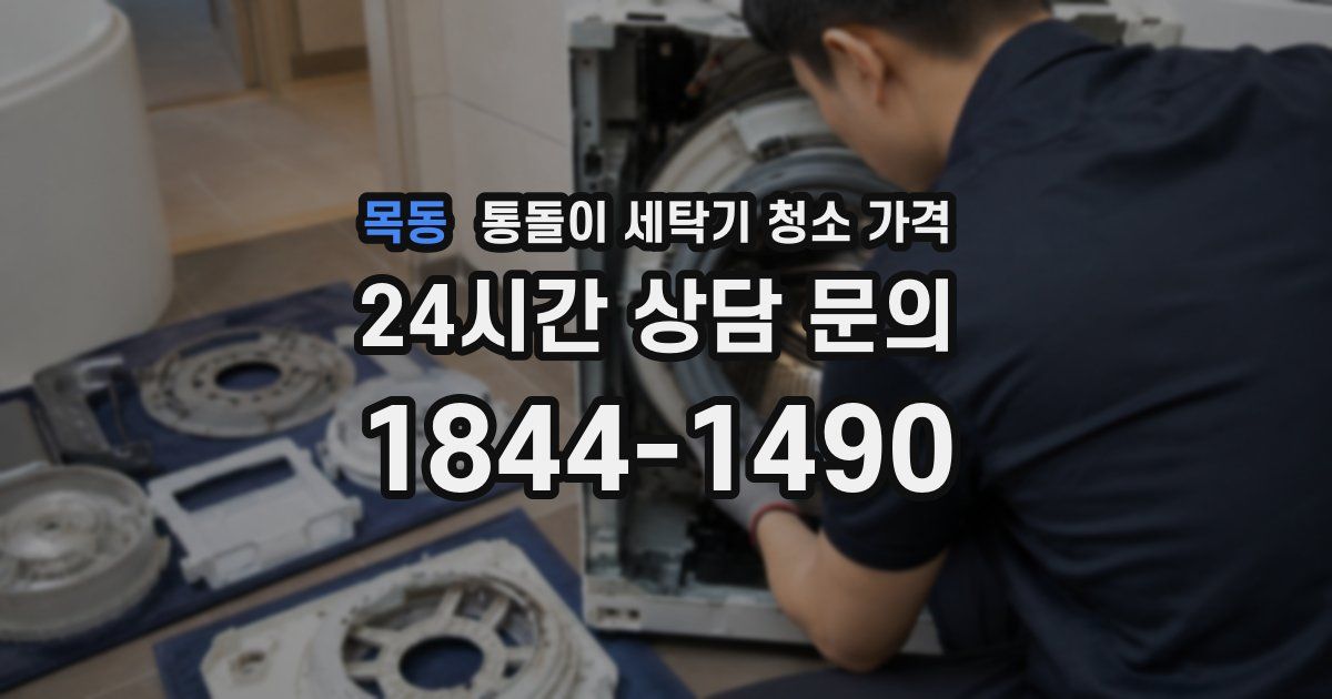목동 통돌이 세탁기 청소 가격