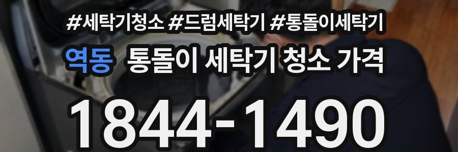 역동 통돌이 세탁기 청소 가격
