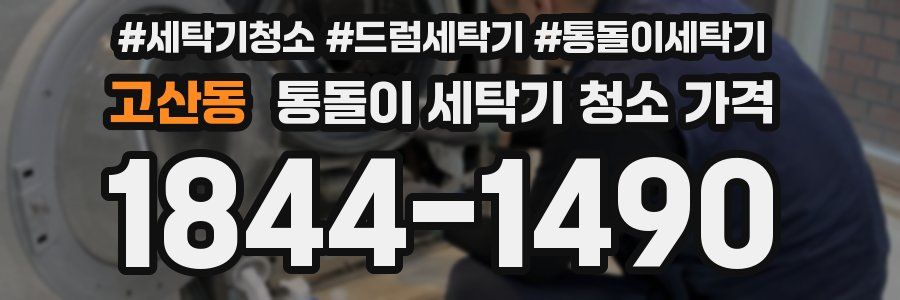 고산동 통돌이 세탁기 청소 가격