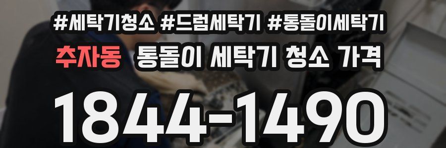 추자동 통돌이 세탁기 청소 가격