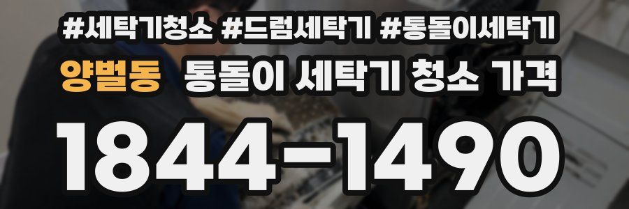 양벌동 통돌이 세탁기 청소 가격
