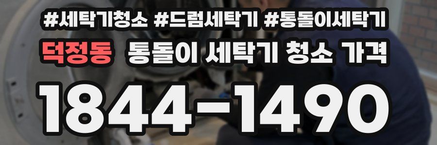 덕정동 통돌이 세탁기 청소 가격